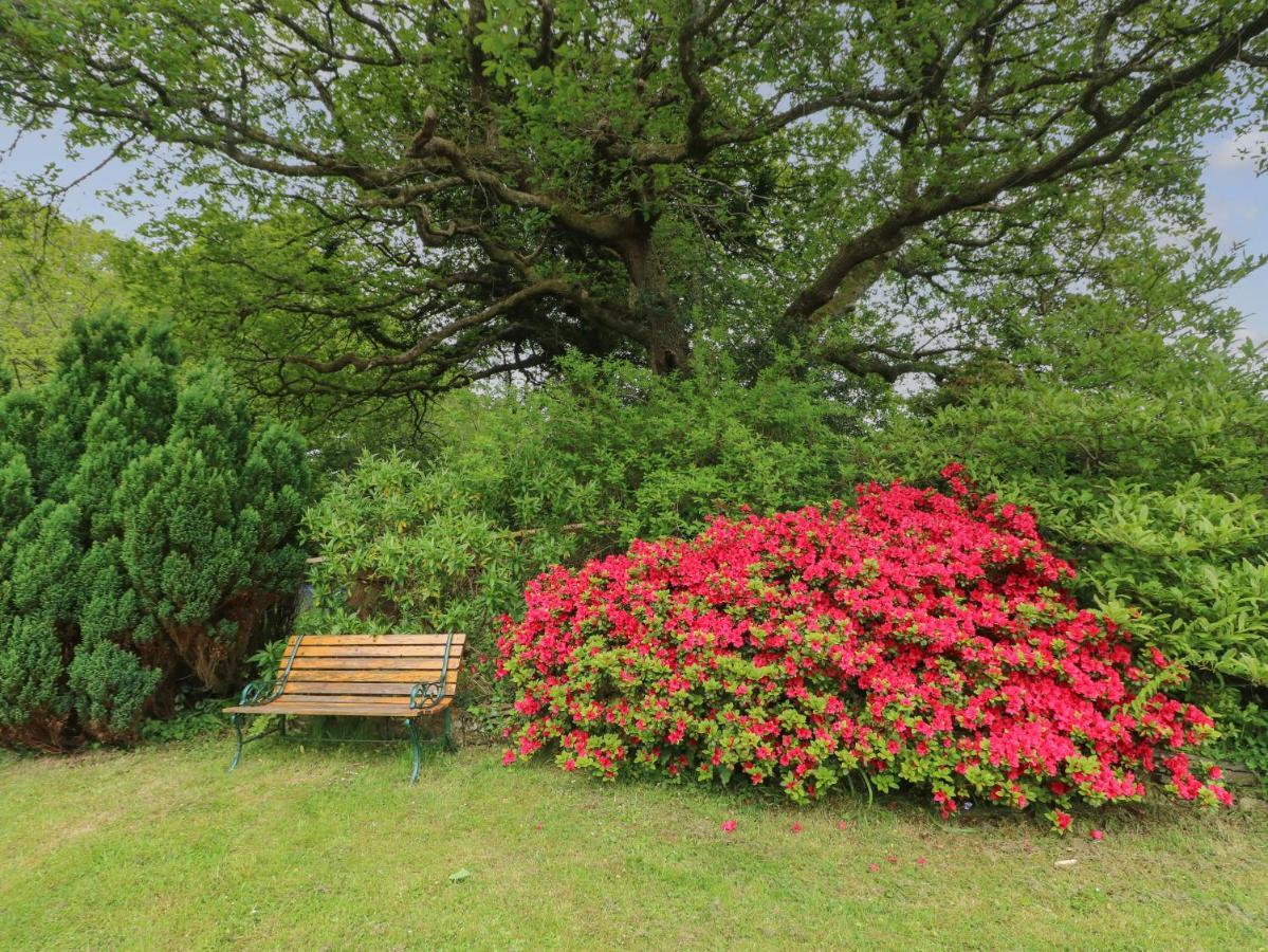 The Dingle Villa Narberth Dış mekan fotoğraf